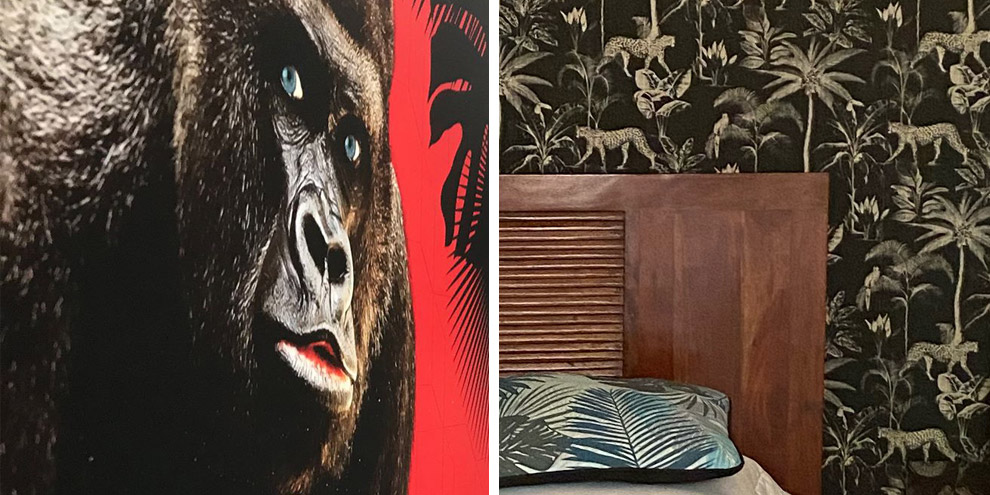 chambre hote gay pres de nimes