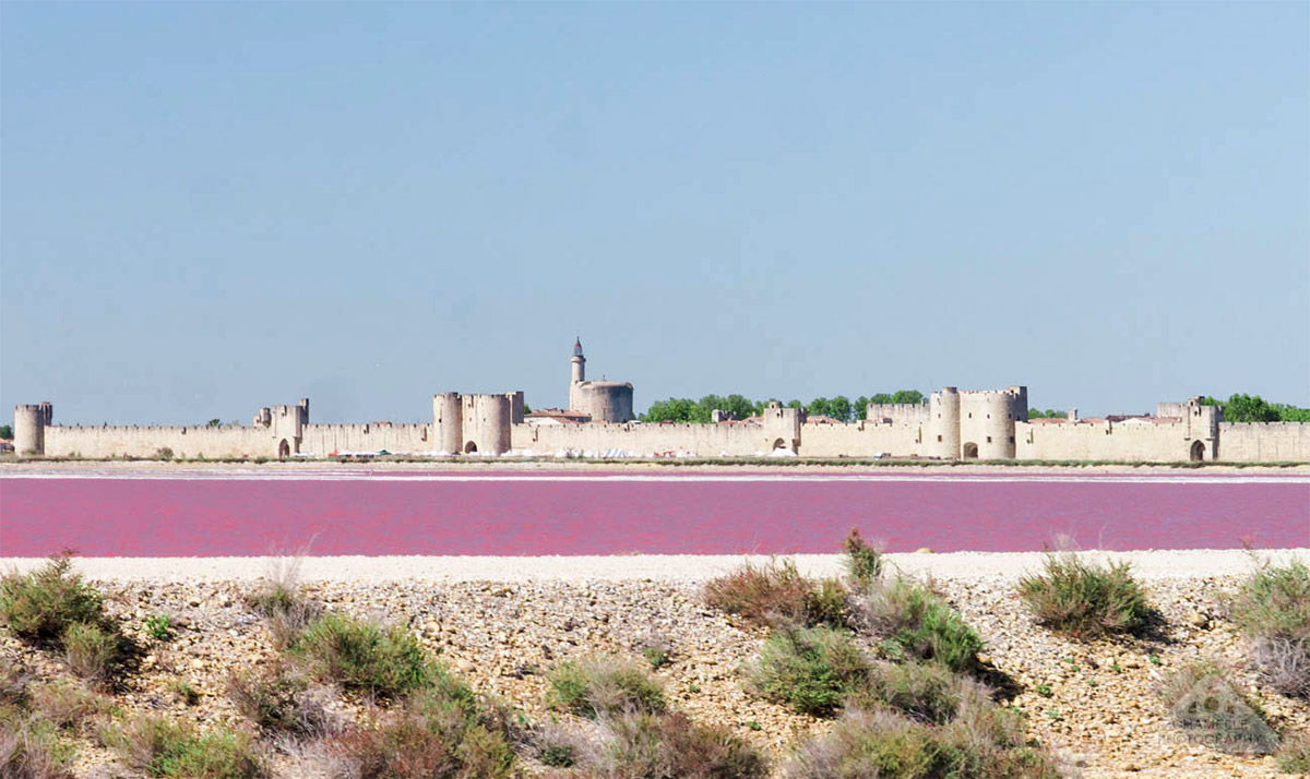 chambre d hote gay aigues mortes