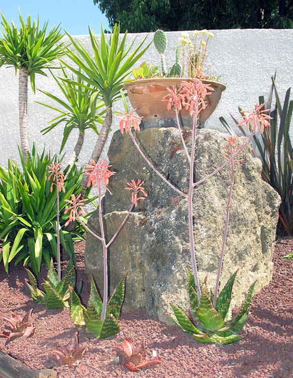 Jardin Uchaud Villa Ragazzi Chambre d hote gard27