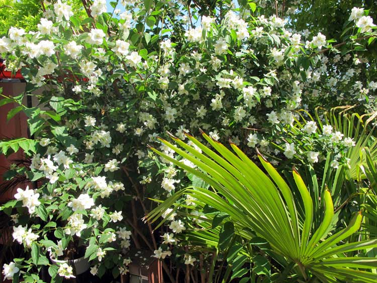 Jardin Uchaud Villa Ragazzi Chambre d hote gard31