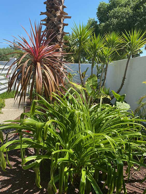 Jardin Uchaud Villa Ragazzi Chambre d hote gard4