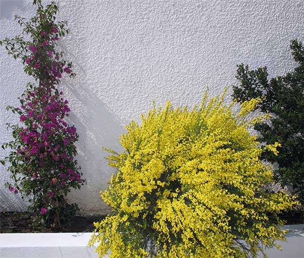 Jardin Uchaud Villa Ragazzi Chambre d hote gard45
