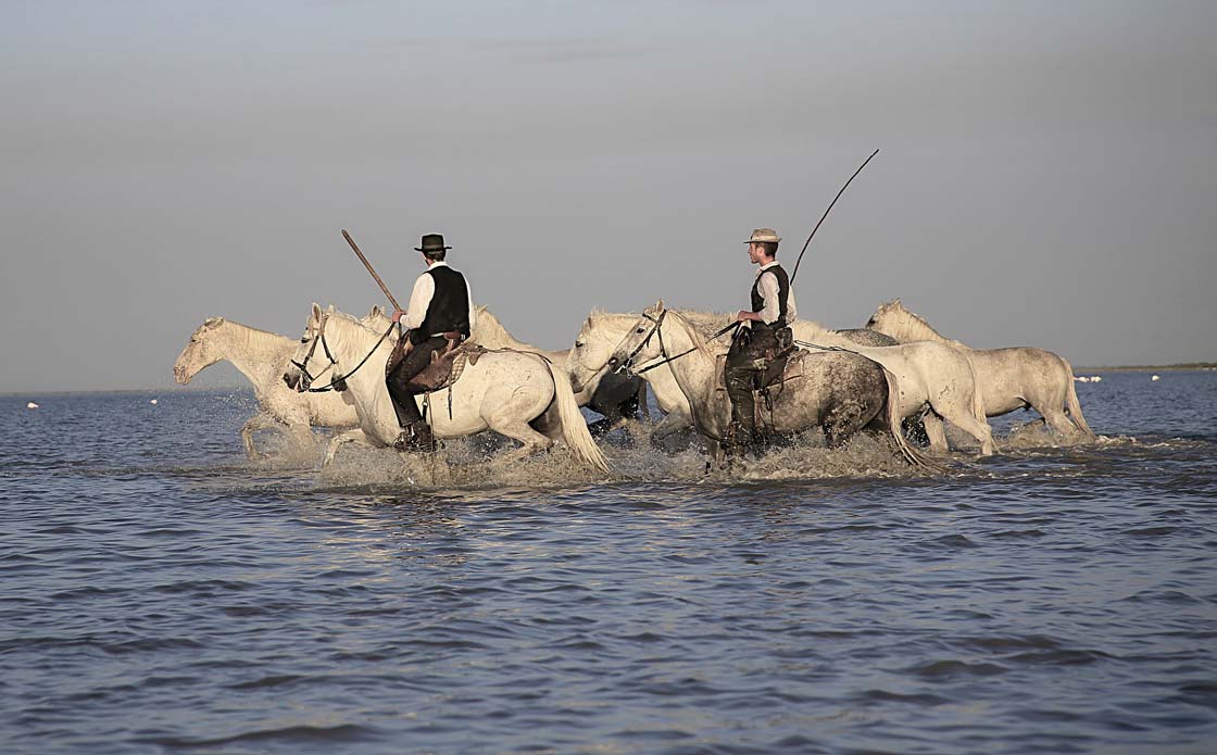 chambre d hote gay camargue r