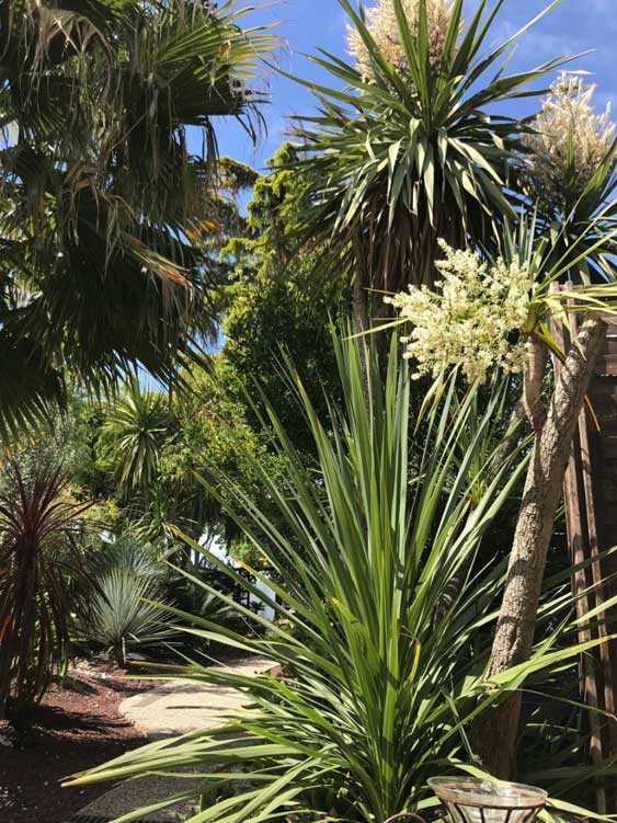 jardin chambres hotes gay a uchaud r