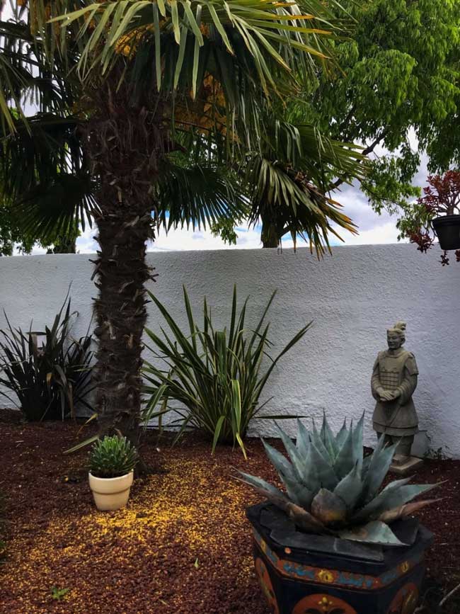 jardin chambres hotes gay montpellier