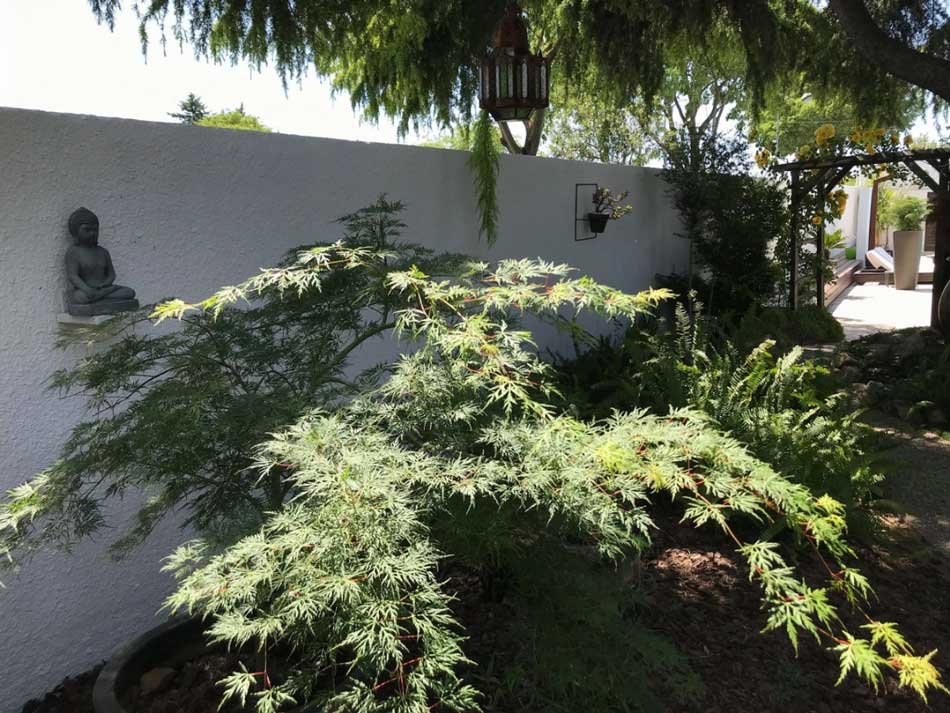 jardin de chambre hote gay